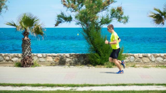 Un Petit Nid Les Pieds Dans L'Eau Apartment Argeles-sur-Mer Ngoại thất bức ảnh